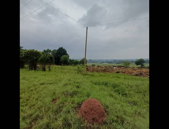 2.70HA VACANT LAND FOR SALE IN DRUMBLADE AH